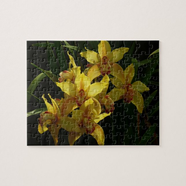 Sunlit Yellow Orchids Floral Jigsaw Puzzle (Horizontal)