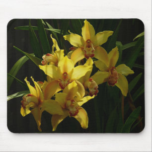 Sunlit Yellow Orchids Floral Mouse Mat