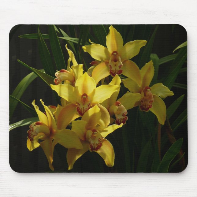 Sunlit Yellow Orchids Floral Mouse Mat (Front)