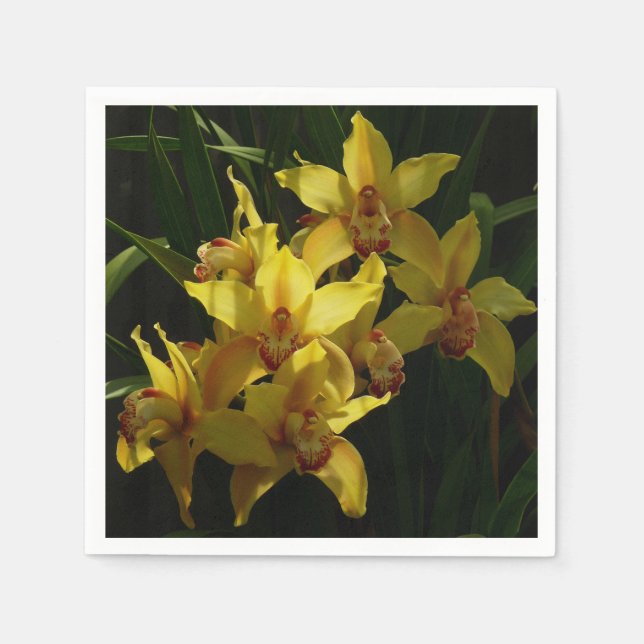 Sunlit Yellow Orchids Floral Napkin (Front)