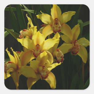 Sunlit Yellow Orchids Floral Square Sticker