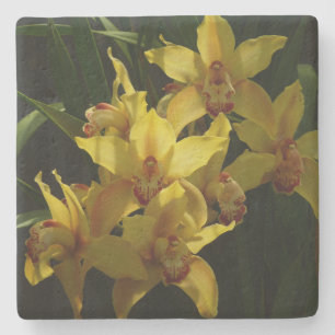 Sunlit Yellow Orchids Floral Stone Coaster
