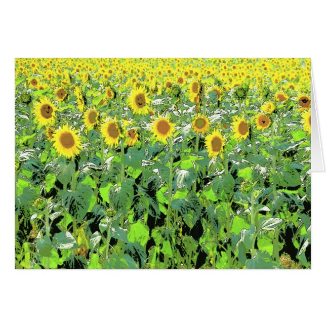 Sunnies (Front Horizontal)