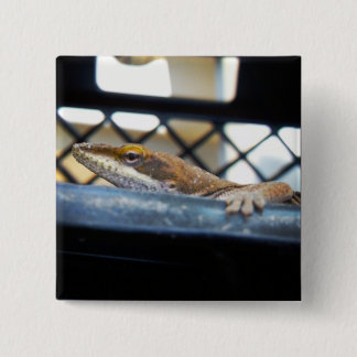 Sunning Green Anole Lizard Photo 15 Cm Square Badge