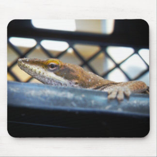Sunning Green Anole Lizard Photo Mouse Mat