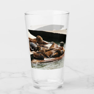 Sunning Sea Lions in San Francisco Glass