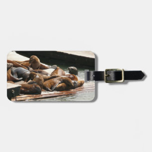 Sunning Sea Lions in San Francisco Luggage Tag