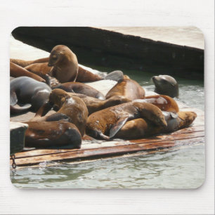 Sunning Sea Lions in San Francisco Mouse Mat