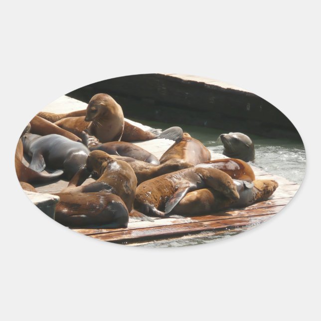 Sunning Sea Lions in San Francisco Oval Sticker (Front)
