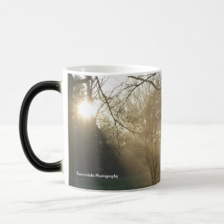 'Sunny Ancient Trees' Mug