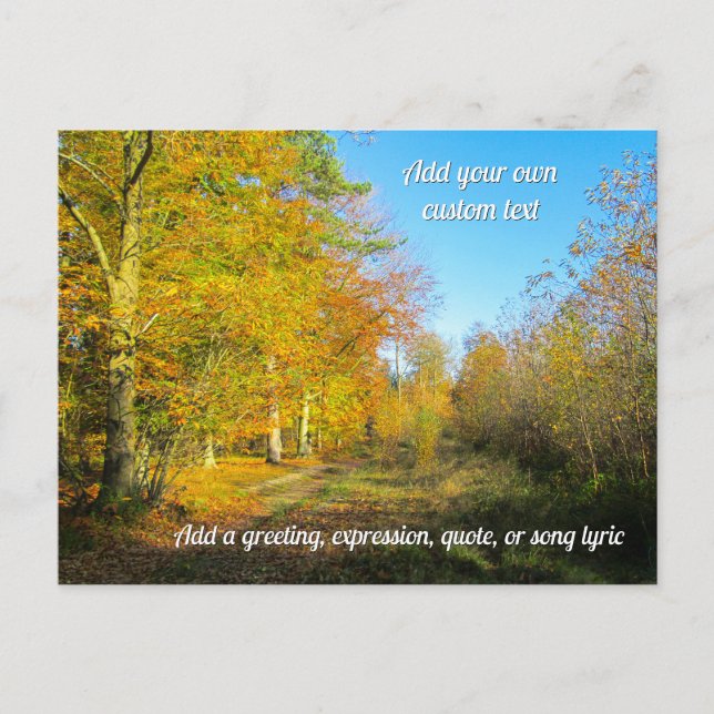 Sunny Autumn Forest - Personalised Postcard (Front)