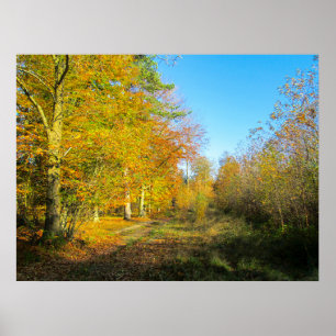 Sunny Autumn Forest - Personalised Poster