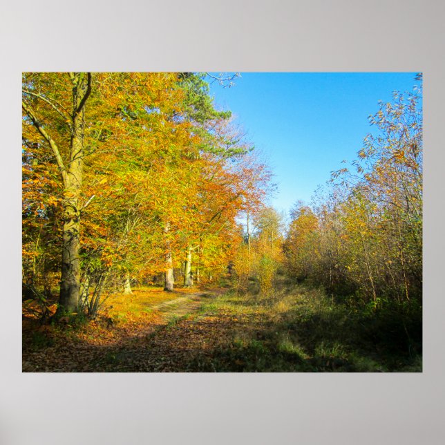 Sunny Autumn Forest - Personalised Poster (Front)