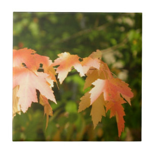 Sunny Autumn Leaves Decorative Tile