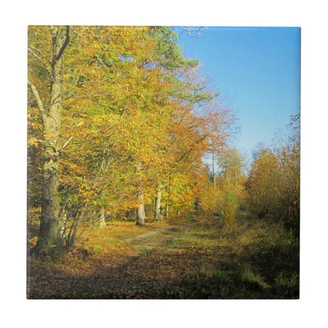 Sunny Autumn Walk - Personalised Ceramic Tile (Front)