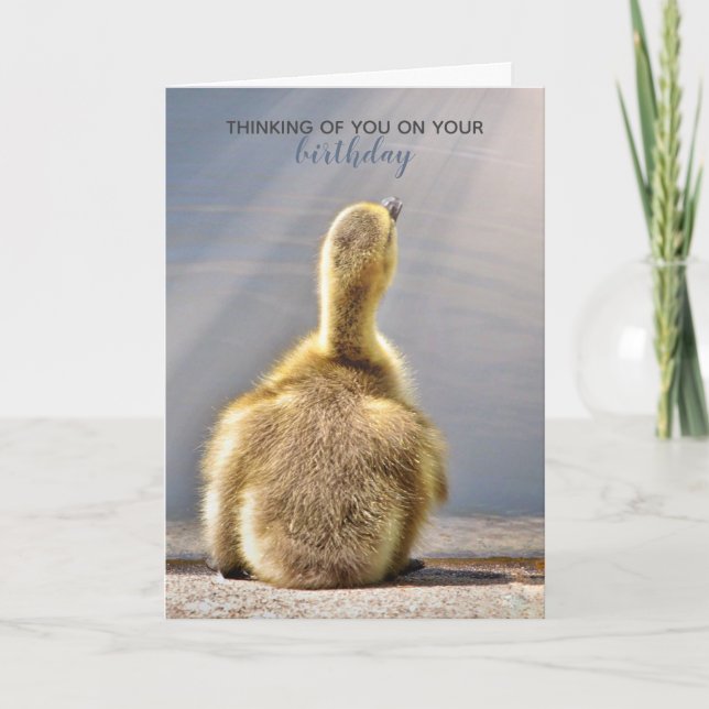 Sunny Birthday Wishes Card (Front)