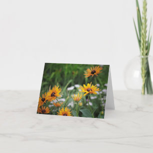 Sunny Black-Eyed Susans Note Card