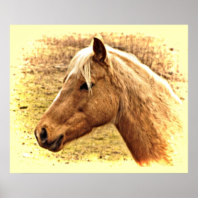 Sunny Blonde and Brown Horse Animal Poster (Front)