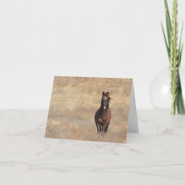 Sunny Breeze Card (Front)