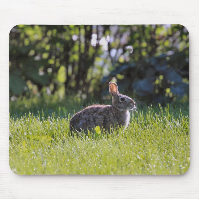 Sunny Bunny  Mouse Mat (Front)