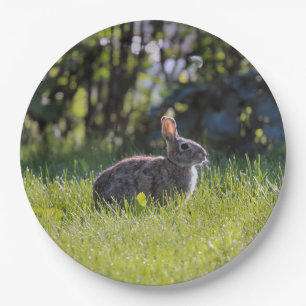 Sunny Bunny Paper Plate
