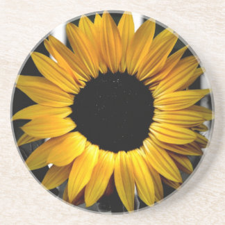 Sunny coaster