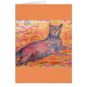 sunny cobblestone cat