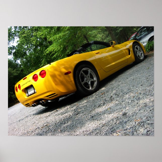 Sunny Corvette Poster (Front)