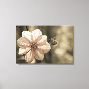 Sunny Dahlia Canvas Print