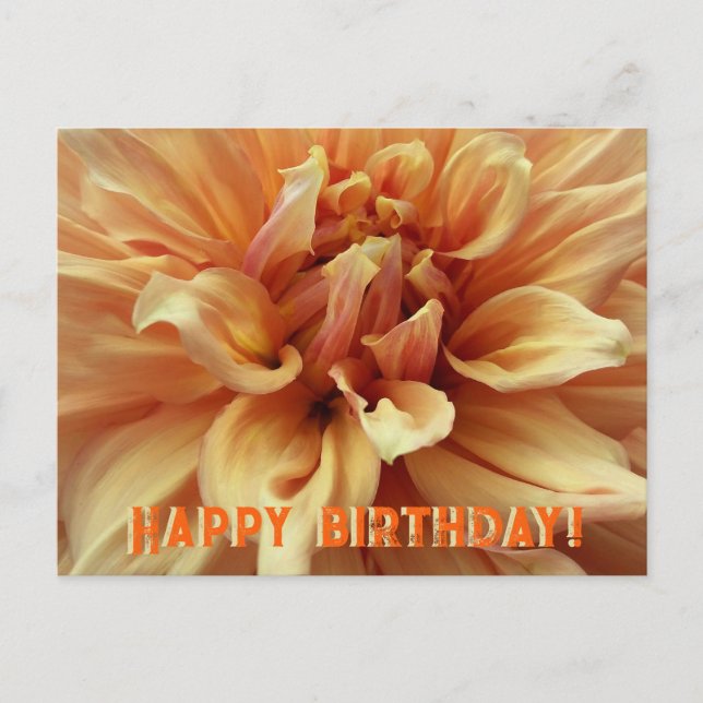 Sunny Dahlia/Happy Birthday Holiday Postcard (Front)