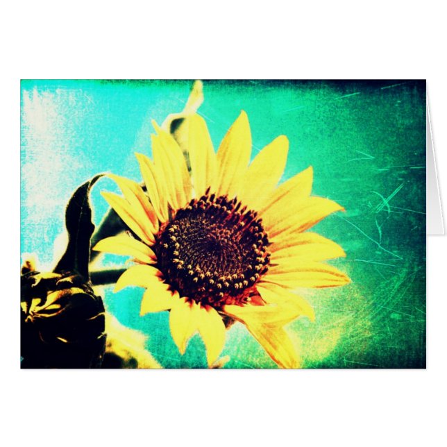 Sunny Day (Front Horizontal)