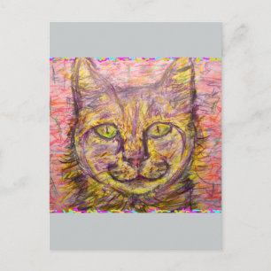 sunny day cat hey dude postcard
