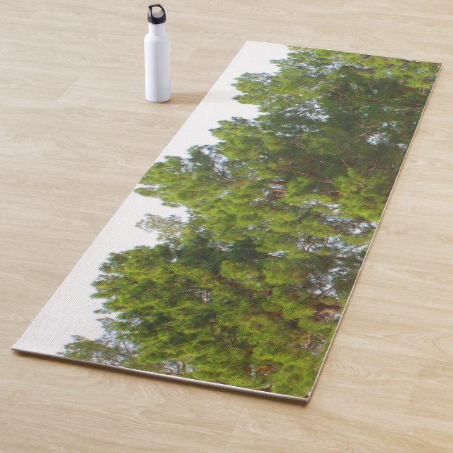 Sunny Day Green Pine Treetops Yoga Mat (In Situ)