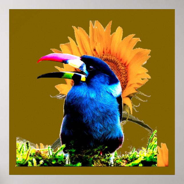 Sunny Day Poster (Front)