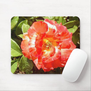 Sunny day Rose....... Mouse Mat