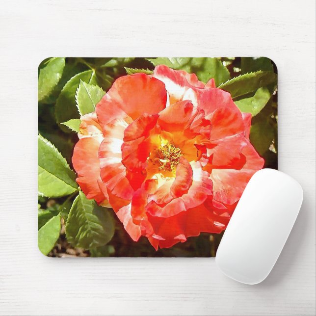Sunny day Rose....... Mouse Mat (With Mouse)