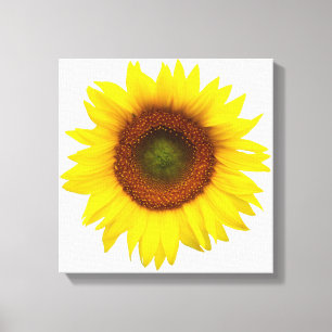 Sunny Day Sunflower Wrapped Canvas Decor