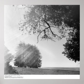 Sunny Day, University of California, Santa Cruz Poster