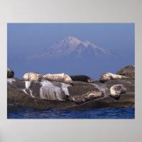 Sunny Days Are Here Again - Fine Art Prints