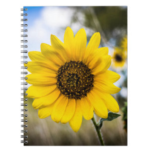 Sunny Daze Notebook