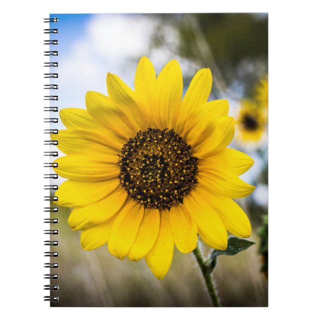 Sunny Daze Notebook (Front)