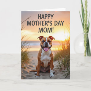 Sunny Dog Mothers Day Card