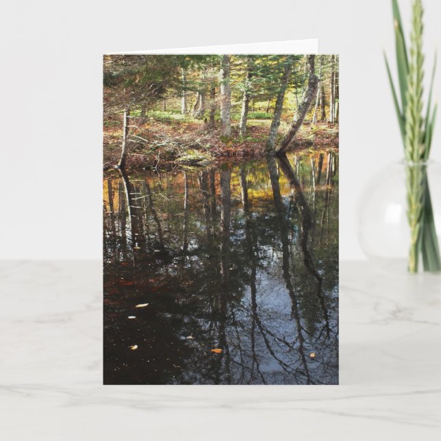 "Sunny Fall Day" Adirondack Forest and Trees Scene Card (Front)