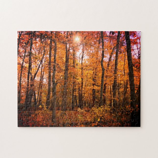 Sunny Fall Woods Jigsaw Puzzle (Horizontal)