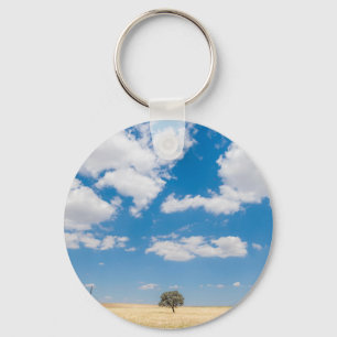 sunny field key ring