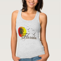 Sunny Florida Beaches Sunset Seagulls