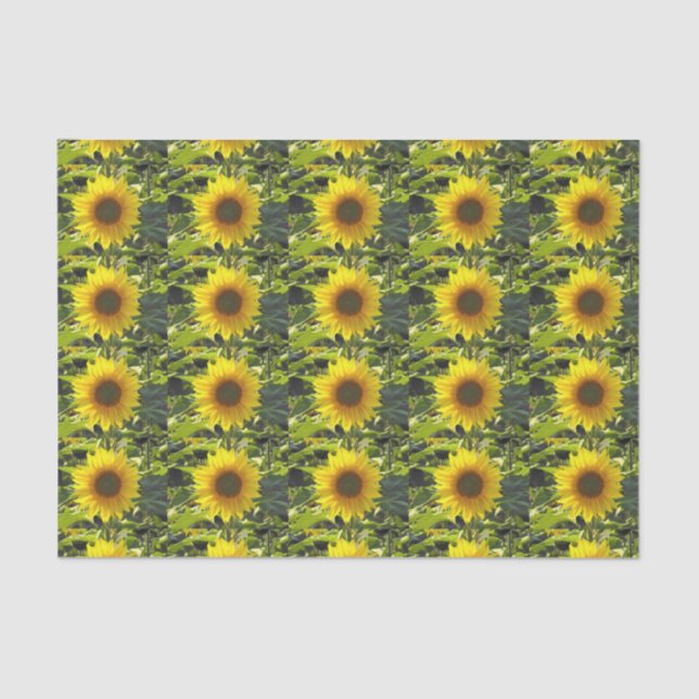Sunny Gold Sunflower Tissue Paper (Front)