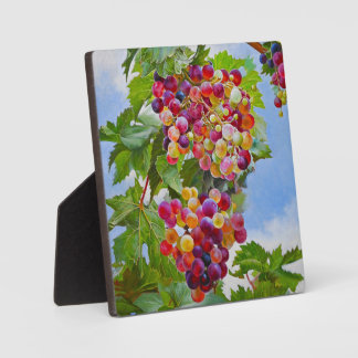Sunny Grapevine – Colourful Grapes Still Life Pain Plaque