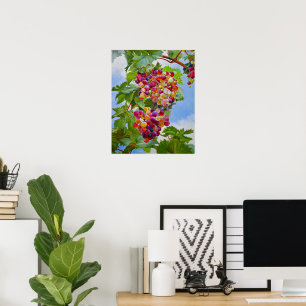 Sunny Grapevine – Colourful Grapes Still Life Pain Poster