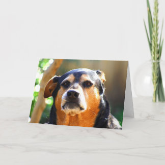 Sunny Grim-face Greeting Card